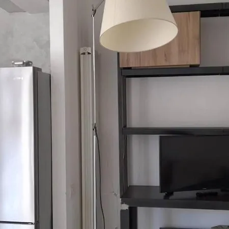 Moderno Ed Elegante Con Veranda Panoramica Privata וילסימיוס